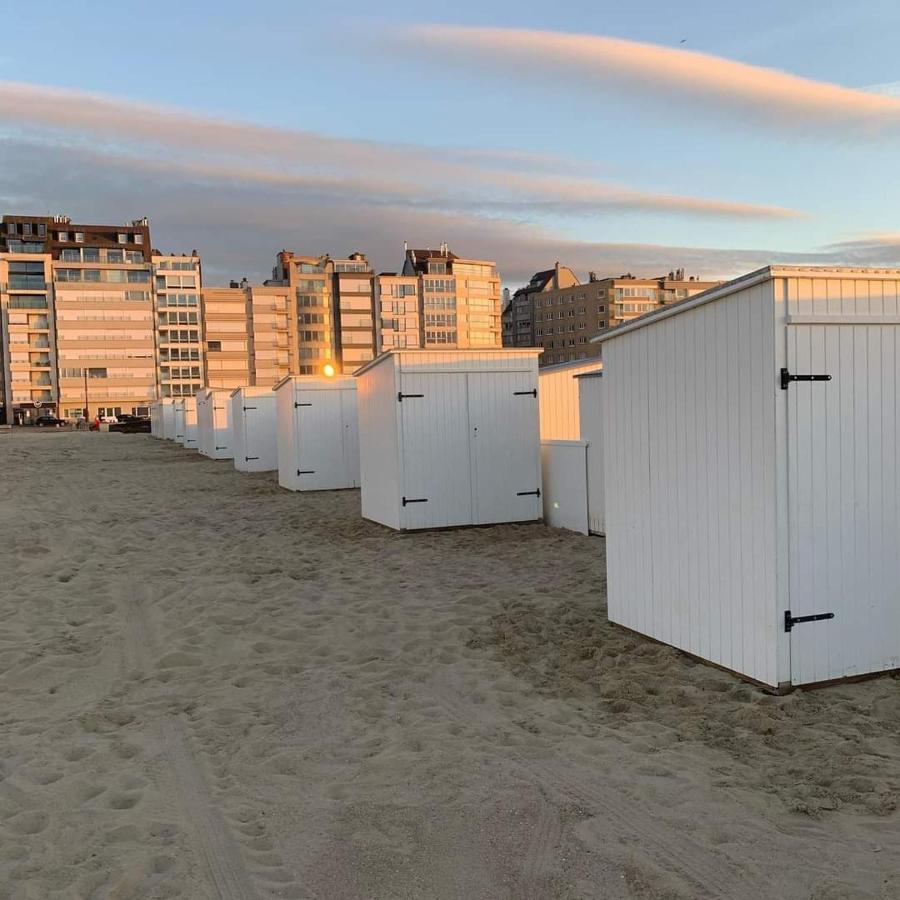Walhalla Knokke Sea View المظهر الخارجي الصورة